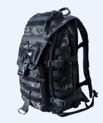 FN-BN-01 Backpack Inspection and Nuclide Recognition System